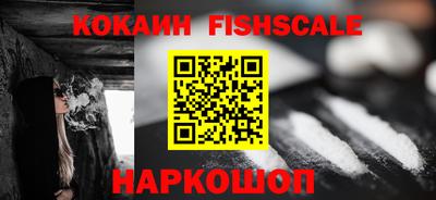 твердый Гатчина