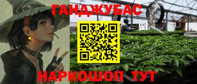 твердый Гатчина