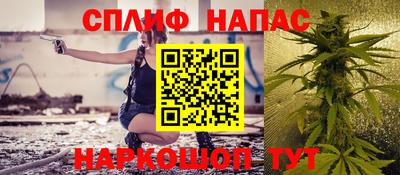 тгк Гай