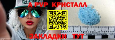 тгк Гай