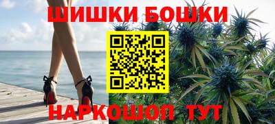 тгк Гай